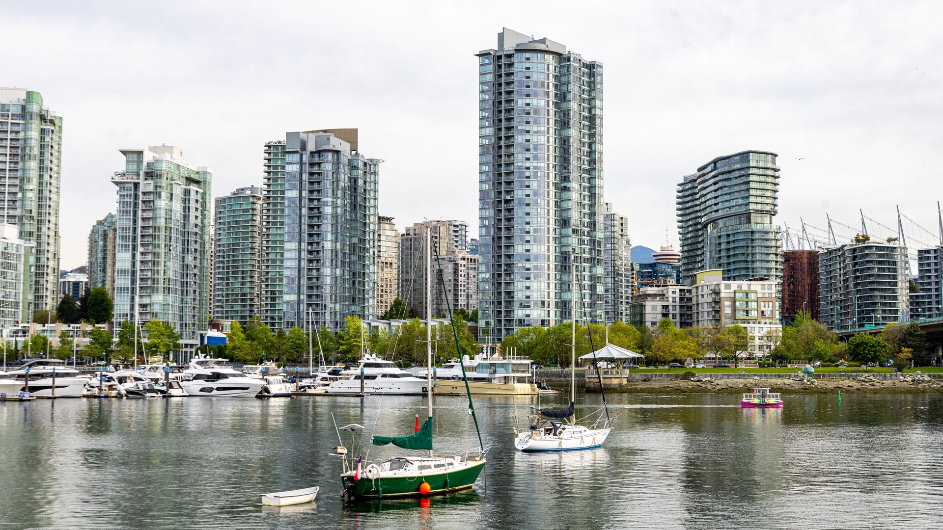 green leaf in dark room